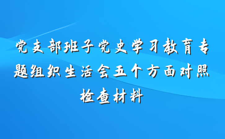 党支部班子党史学习教育专题组织生活会五个方面对照检查材料