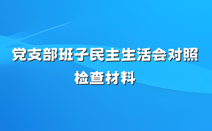 党支部班子民主生活会对照检查材料