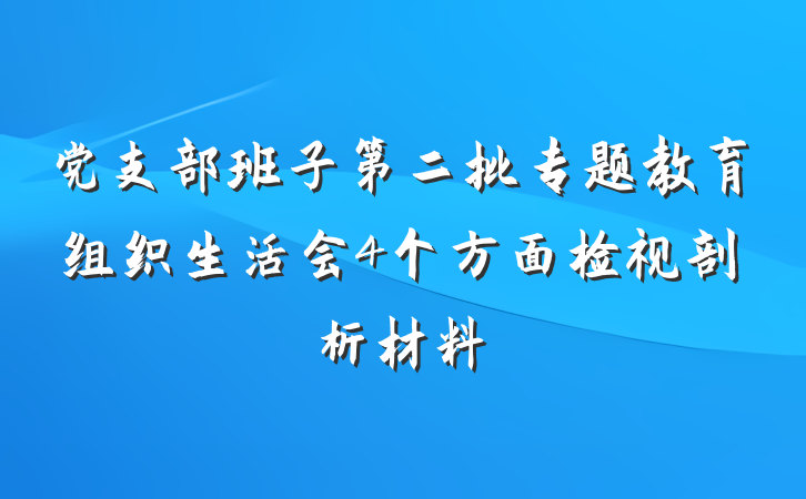 党支部班子第二批专题教育组织生活会4个方面检视剖析材料