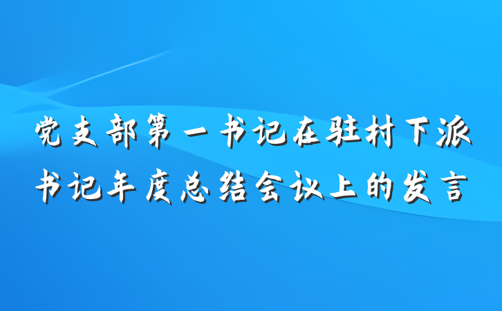 党支部第一书记在驻村下派书记年度总结会议上的发言