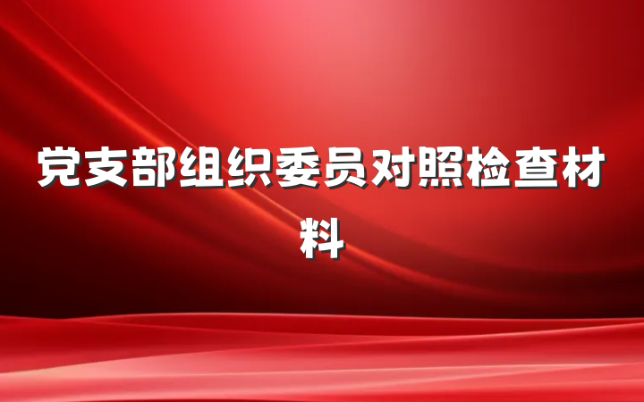 党支部组织委员对照检查材料