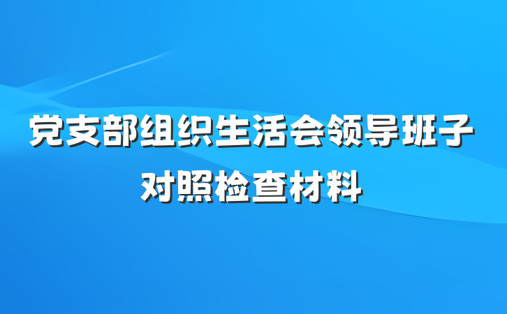 党支部组织生活会领导班子对照检查材料