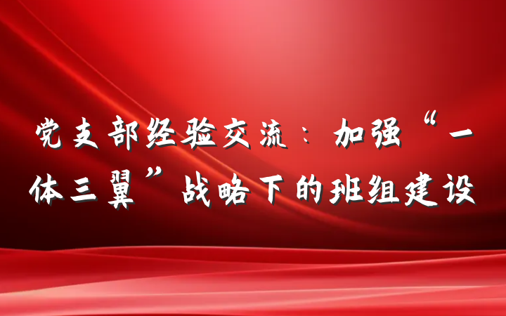 党支部经验交流：加强“一体三翼”战略下的班组建设