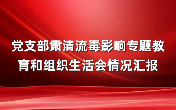 党支部肃清流毒影响专题教育和组织生活会情况汇报