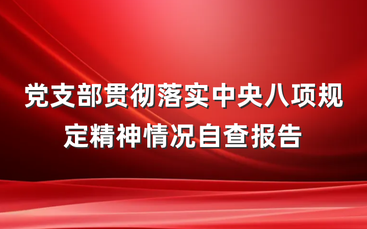 党支部贯彻落实中央八项规定精神情况自查报告