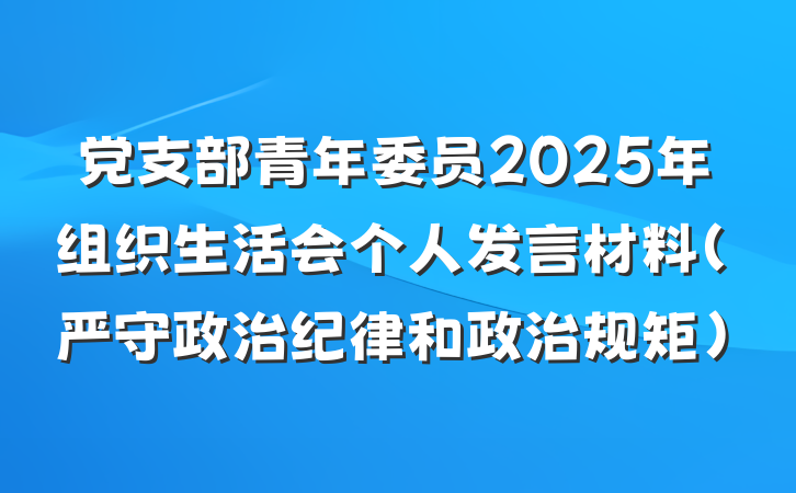 党支部青年委员2025年组织生活会个人发言材料（严守政治纪律和政治规矩）