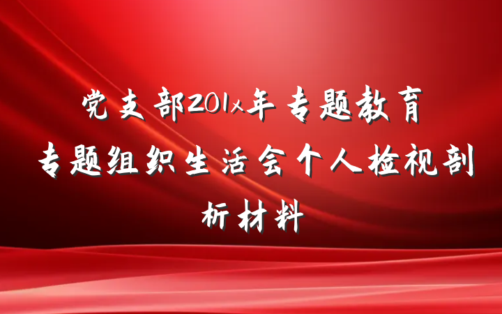 党支部201x年专题教育专题组织生活会个人检视剖析材料