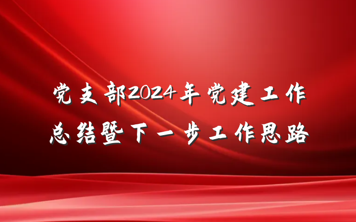 党支部2024年党建工作总结暨下一步工作思路