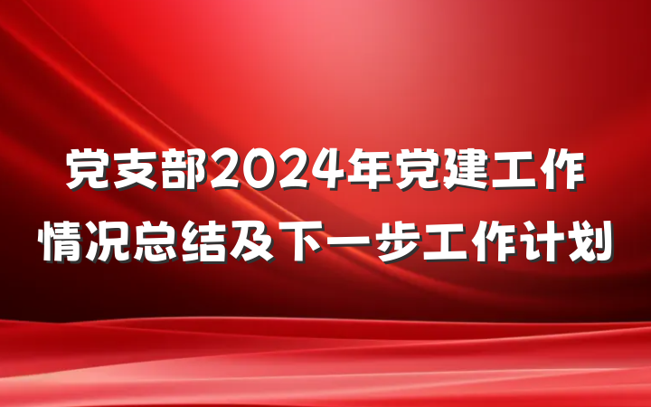 党支部2024年党建工作情况总结及下一步工作计划