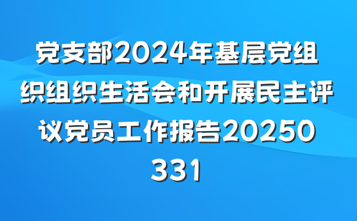 党支部2024年基层党组织组织生活会和开展民主评议党员工作报告20250331