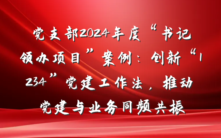 党支部2024年度“书记领办项目”案例：创新“1234”党建工作法，推动党建与业务同频共振
