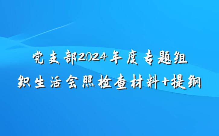 党支部2024年度专题组织生活会照检查材料 提纲