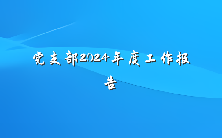 党支部2024年度工作报告