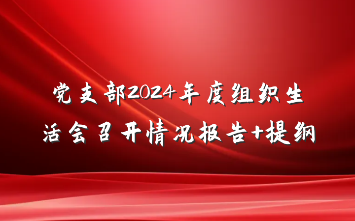 党支部2024年度组织生活会召开情况报告 提纲
