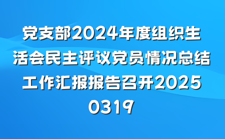 党支部2024年度组织生活会民主评议党员情况总结工作汇报报告召开20250319