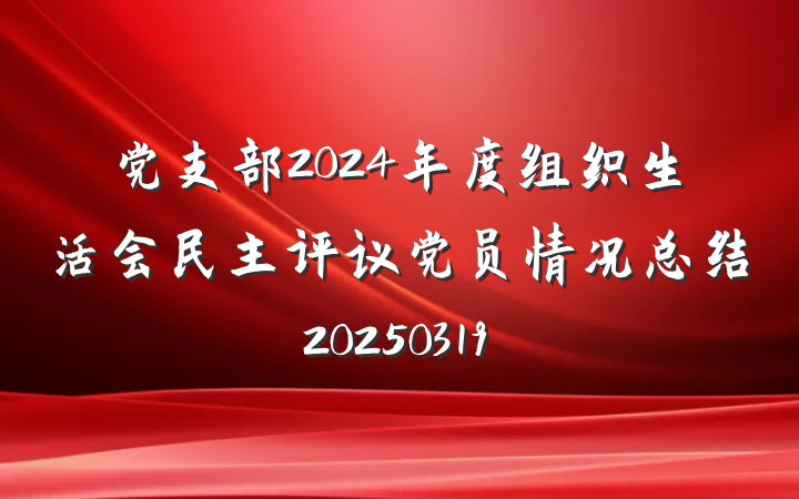 党支部2024年度组织生活会民主评议党员情况总结20250319