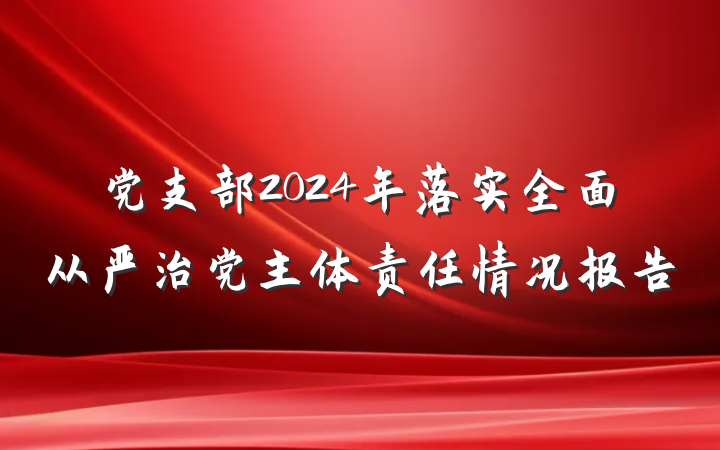 党支部2024年落实全面从严治党主体责任情况报告