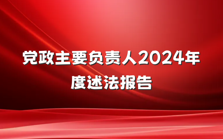 党政主要负责人2024年度述法报告