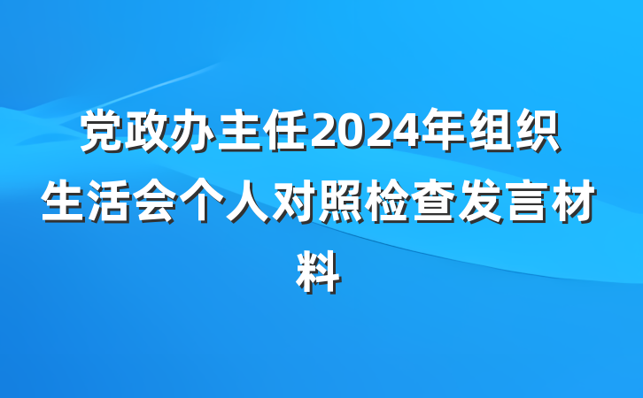 党政办主任2024年组织生活会个人对照检查发言材料
