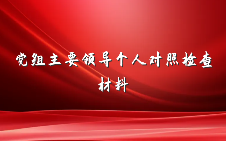 党组主要领导个人对照检查材料