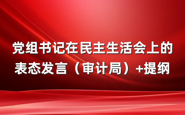 党组书记在民主生活会上的表态发言（审计局） 提纲