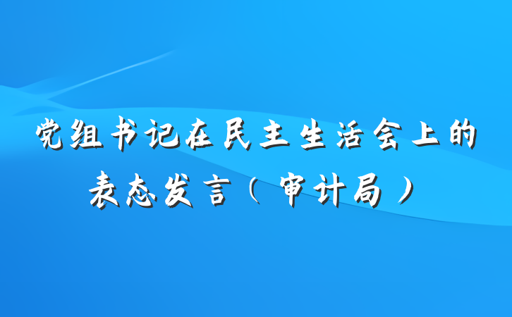 党组书记在民主生活会上的表态发言（审计局）