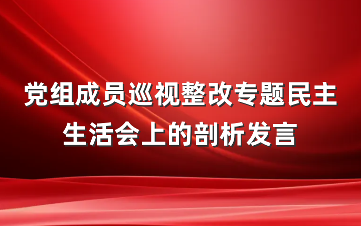 党组成员巡视整改专题民主生活会上的剖析发言