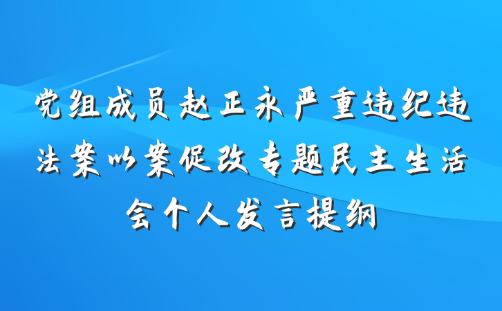 党组成员赵正永严重违纪违法案以案促改专题民主生活会个人发言提纲