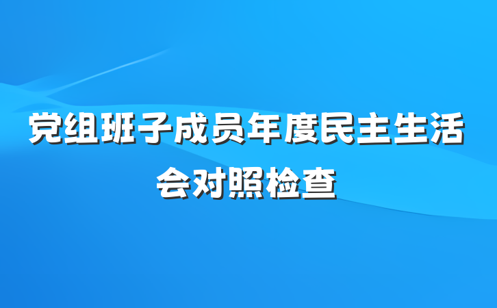 党组班子成员年度民主生活会对照检查
