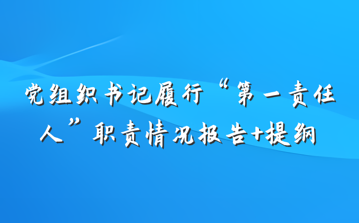 党组织书记履行“第一责任人”职责情况报告 提纲