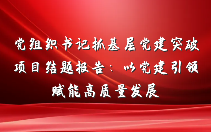 党组织书记抓基层党建突破项目结题报告：以党建引领赋能高质量发展