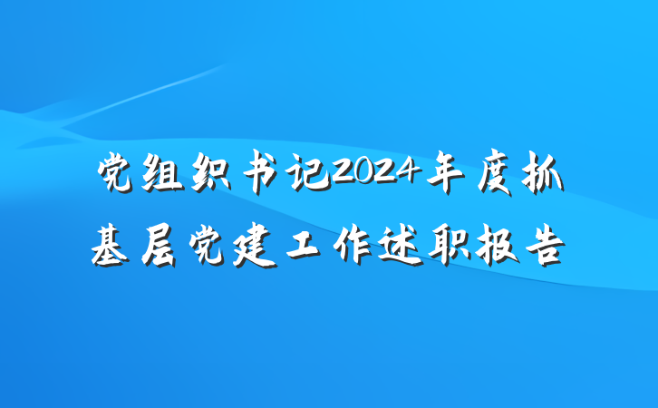 党组织书记2024年度抓基层党建工作述职报告