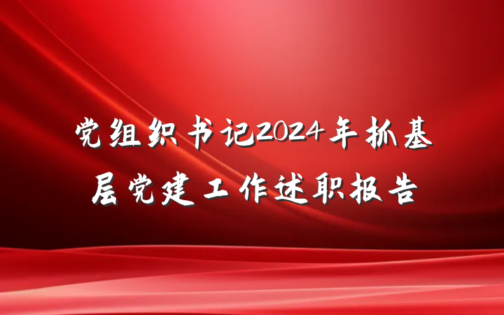 党组织书记2024年抓基层党建工作述职报告