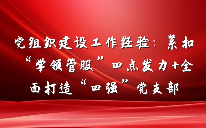 党组织建设工作经验：紧扣“学领管服”四点发力 全面打造“四强”党支部