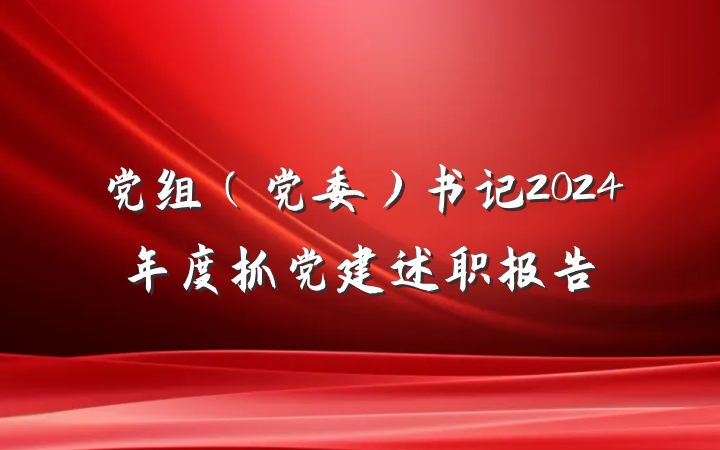 党组（党委）书记2024年度抓党建述职报告