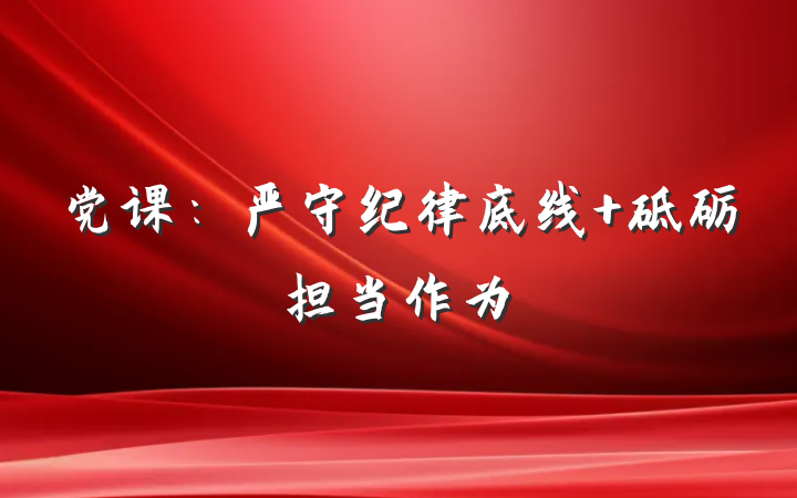 党课：严守纪律底线 砥砺担当作为