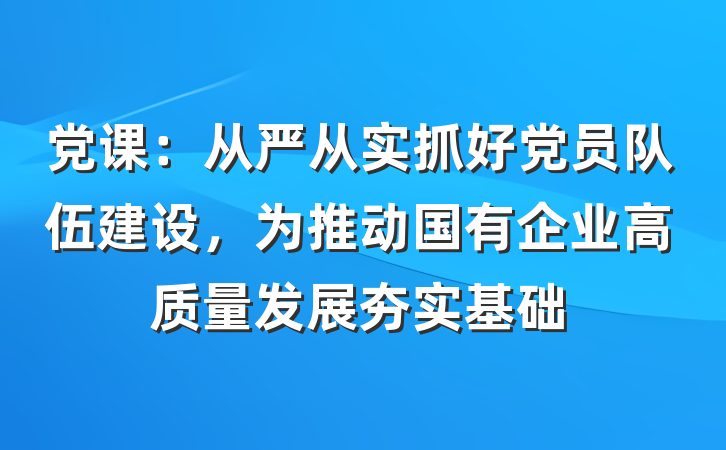 党课：从严从实抓好党员队伍建设，为推动国有企业高质量发展夯实基础