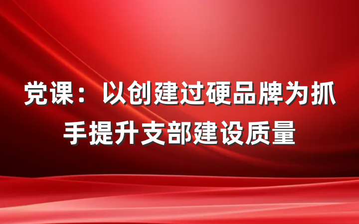 党课：以创建过硬品牌为抓手提升支部建设质量