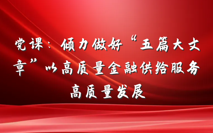 党课：倾力做好“五篇大文章”以高质量金融供给服务高质量发展