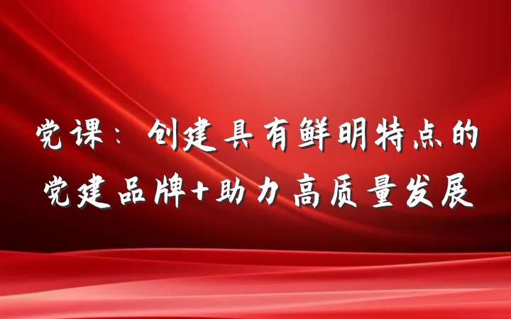 党课：创建具有鲜明特点的党建品牌 助力高质量发展