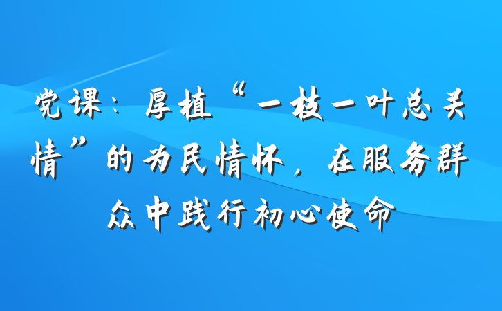 党课：厚植“一枝一叶总关情”的为民情怀，在服务群众中践行初心使命