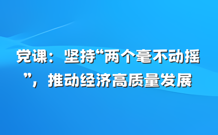 党课：坚持“两个毫不动摇”，推动经济高质量发展
