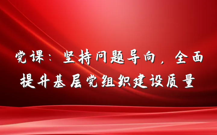 党课：坚持问题导向，全面提升基层党组织建设质量