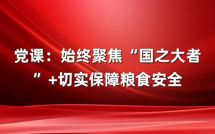 党课：始终聚焦“国之大者” 切实保障粮食安全