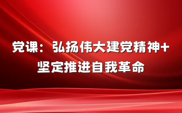 党课：弘扬伟大建党精神 坚定推进自我革命