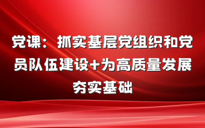 党课：抓实基层党组织和党员队伍建设 为高质量发展夯实基础