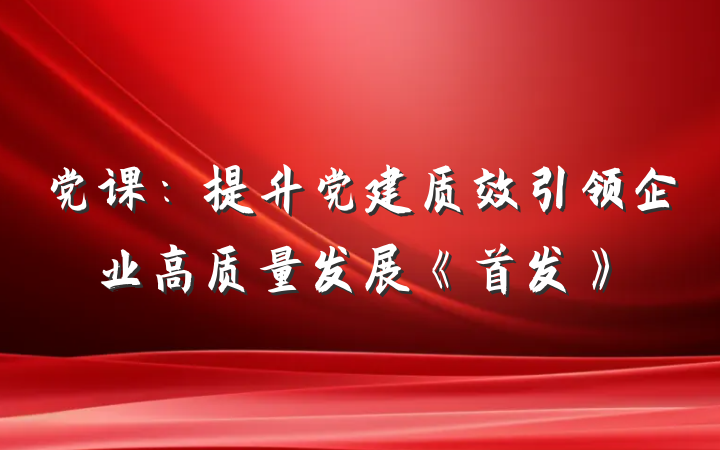 党课：提升党建质效引领企业高质量发展《首发》