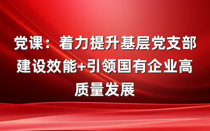 党课：着力提升基层党支部建设效能 引领国有企业高质量发展