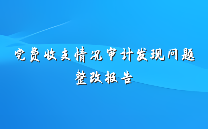 党费收支情况审计发现问题整改报告