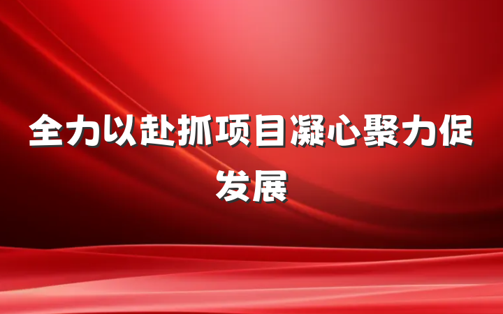 全力以赴抓项目凝心聚力促发展